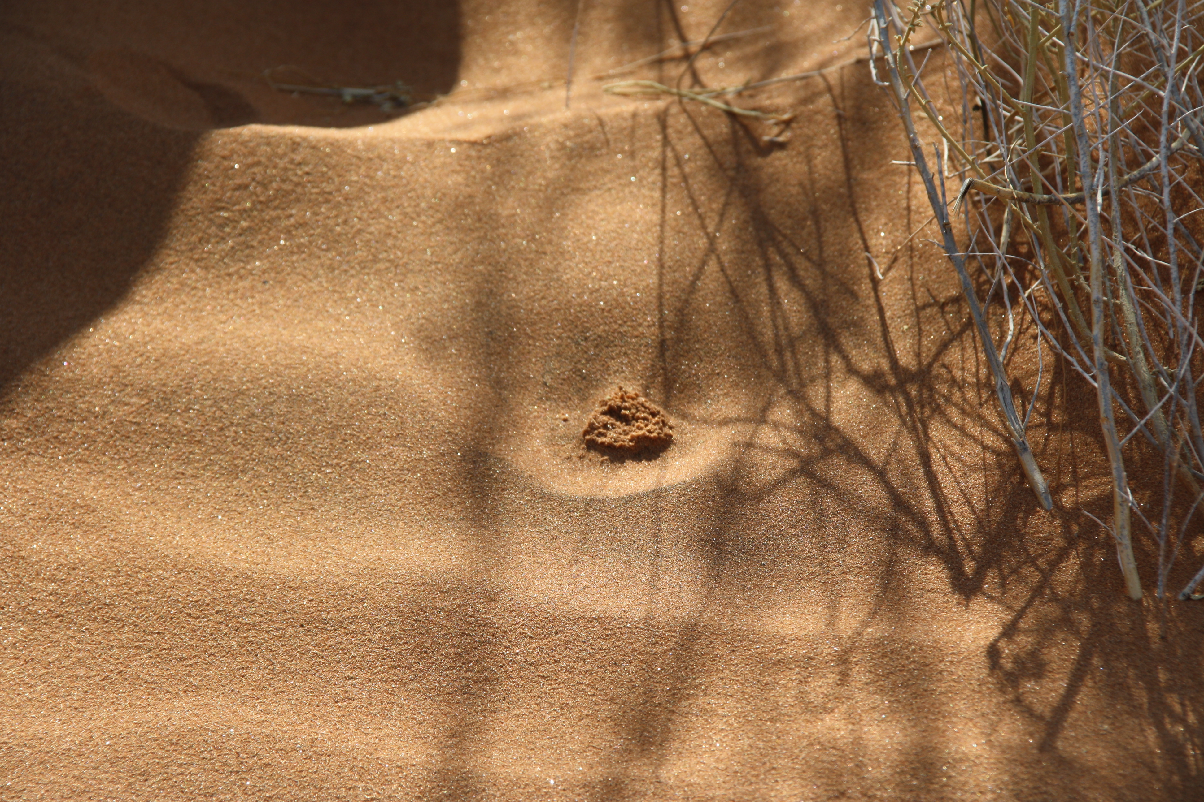 Wüste Namib Naukluft Namibia