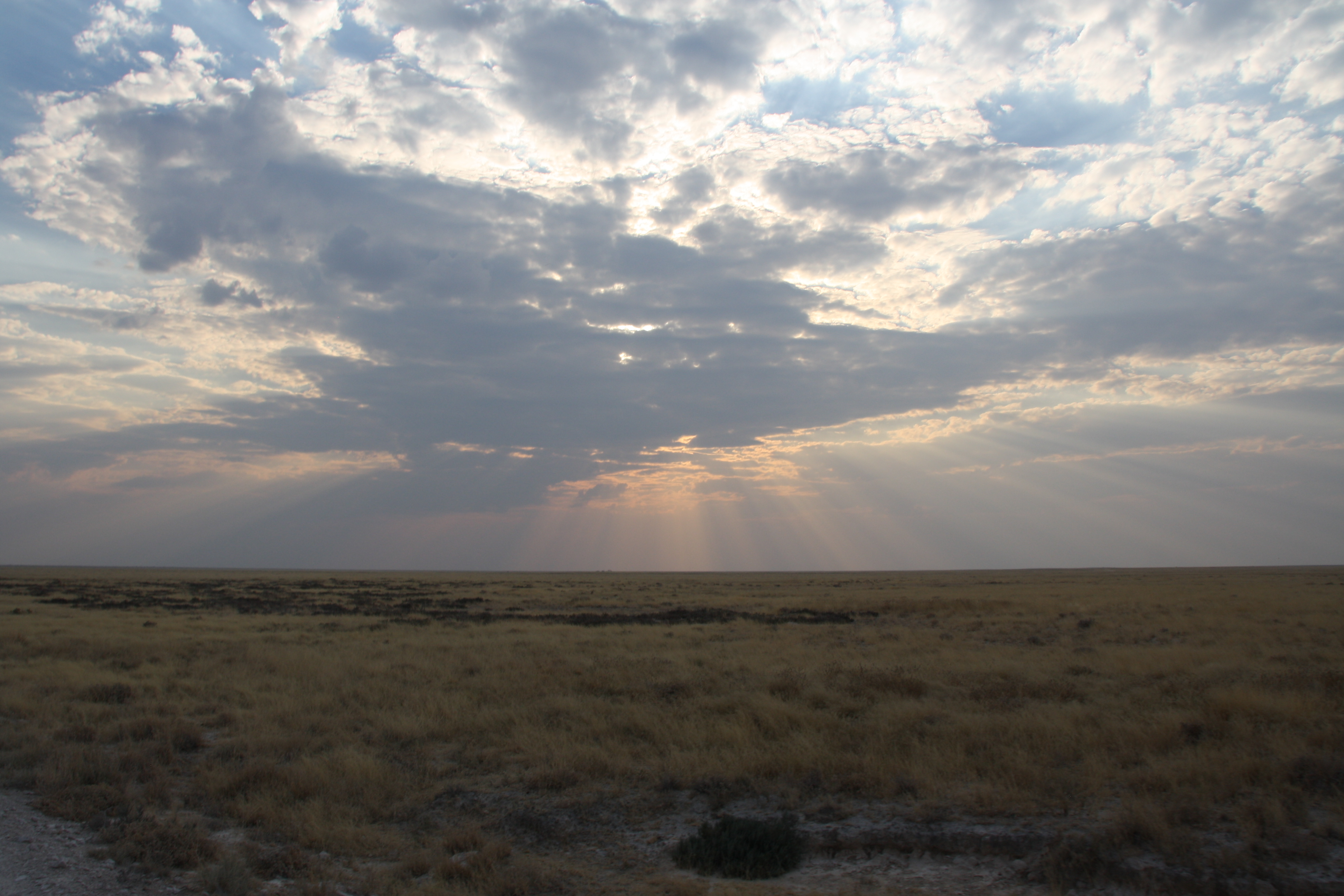 Sonnenuntergang Etosha Nationalpark Namibia