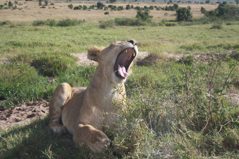 Kenia 2012 277