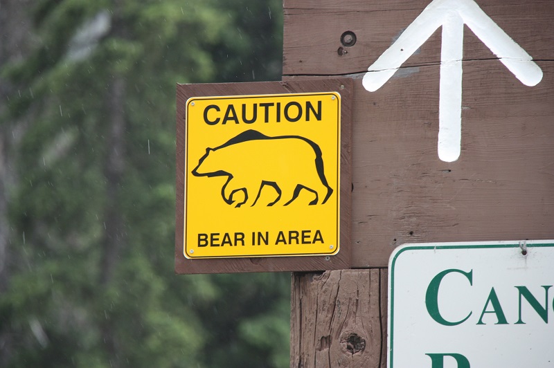 Bärenschild in Kanada Manning Park Rocky Mountains