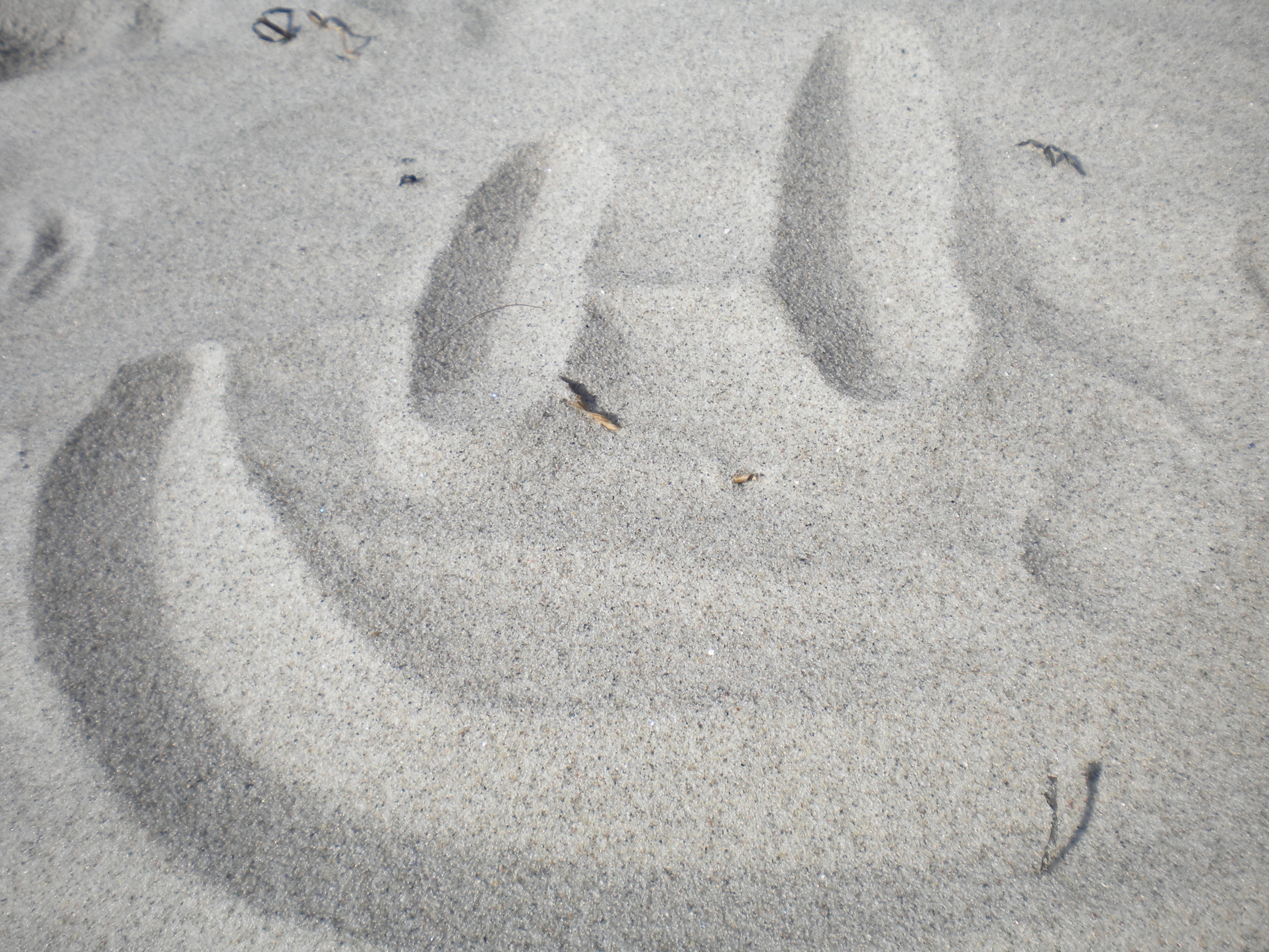 Smiley in den Sand gemalt