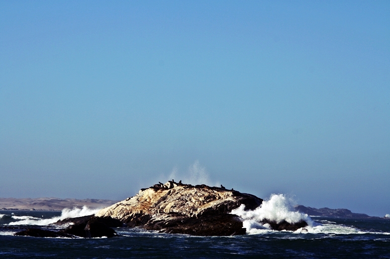 Ein Felsen mit Seelöwen im stürmenden Atlantik bei Lüderitz in Namibia
