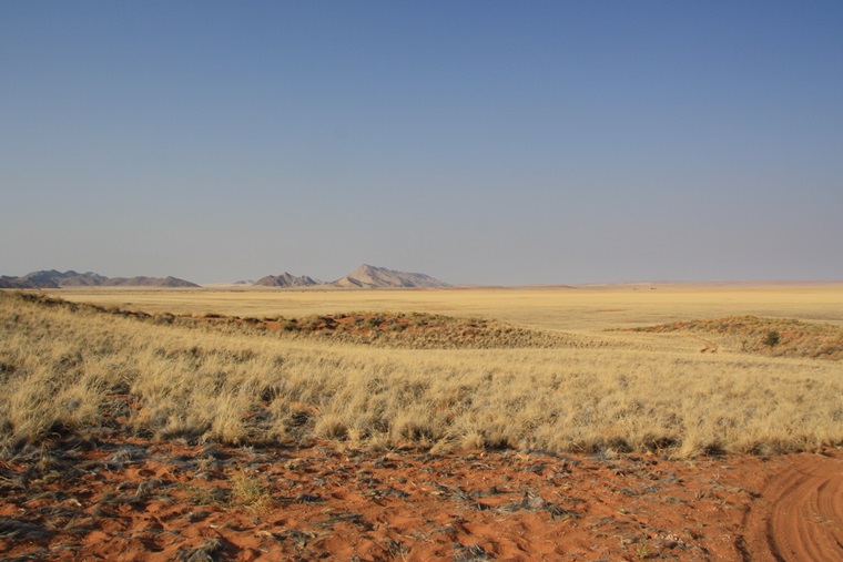 Blick über die Dünen im Namib Rand Nature Reserve im Hintergrund die Berge auf unserem guided Bushmans Walk