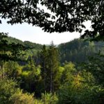 Das Lengeltal: eine Wanderung in Nordhessen