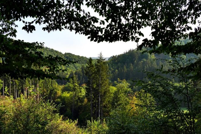Blick in das grüne Lengeltal vom Hugenotten-und Waldenserpfad in Nordhessen bei Louisendorf