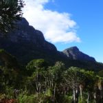 Der Botanische Garten Kirstenbosch: eine Ruheoase in Kapstadt