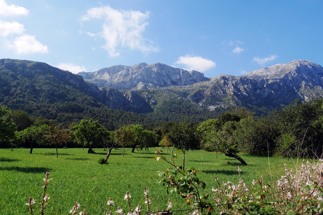 Berge und grüne Wiesen im Vall d´En Marc auf der 7.Etappe des GR221