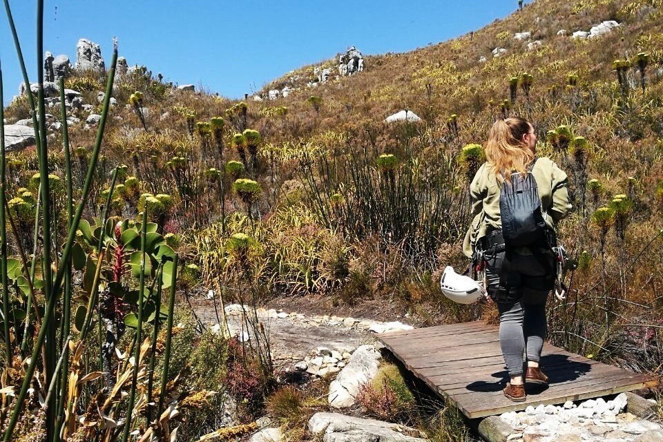 Kurzer Wanderweg am Ende der Cape Canopy Tour in Südafrika