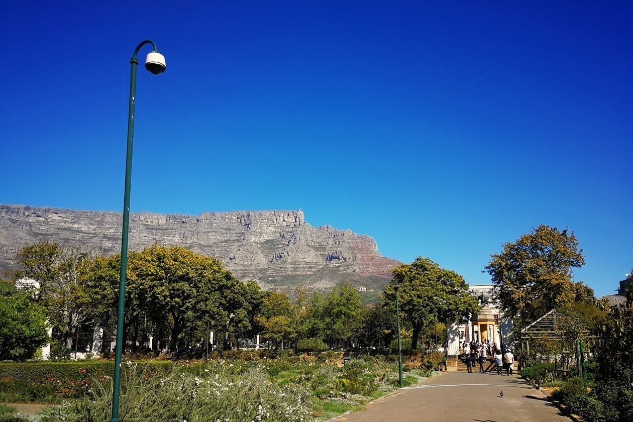 Blick auf den Tafelberg aus dem Companys Garden in Kapstadt