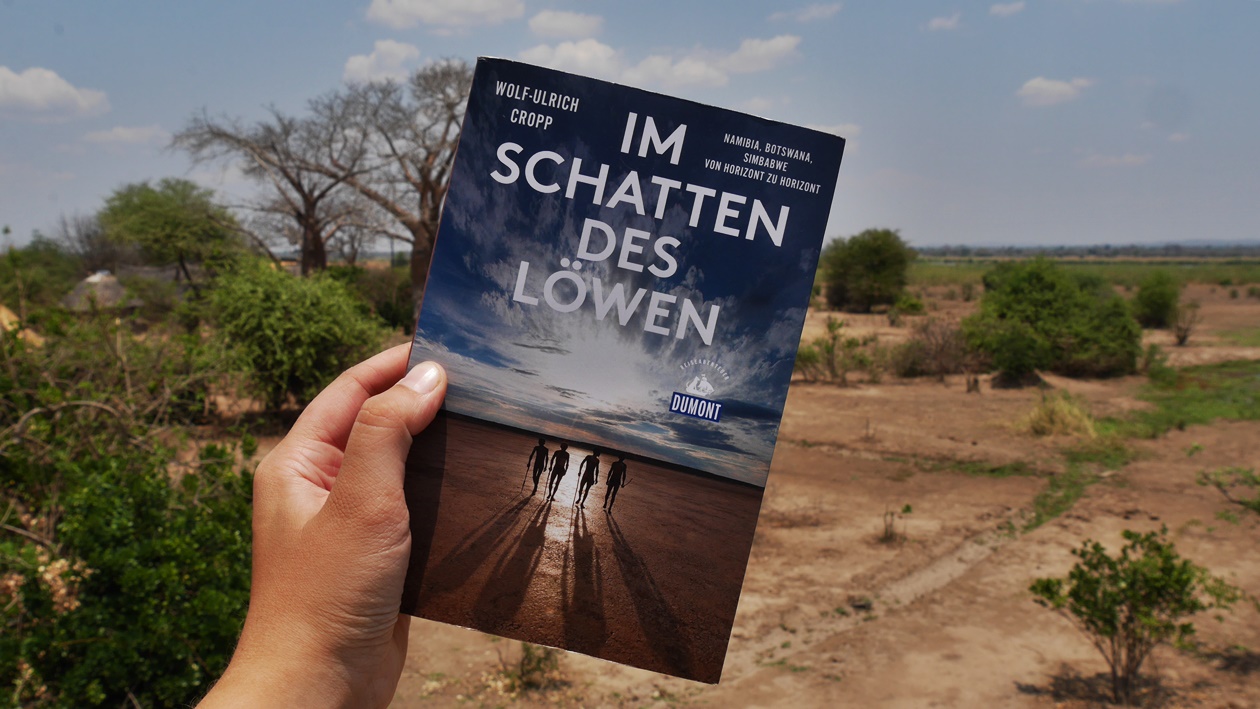 Cover des Buches Im Schatten des Löwen