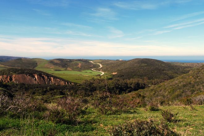 Blick auf die Küste vonPortugal auf dem Historical Way