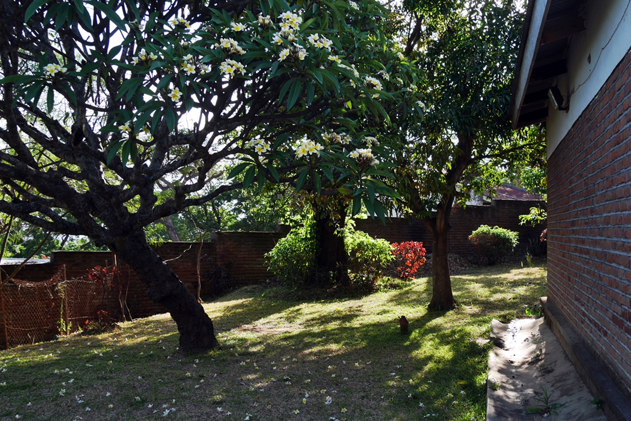 Garten der AirBnB Unterkunft in Blantyre