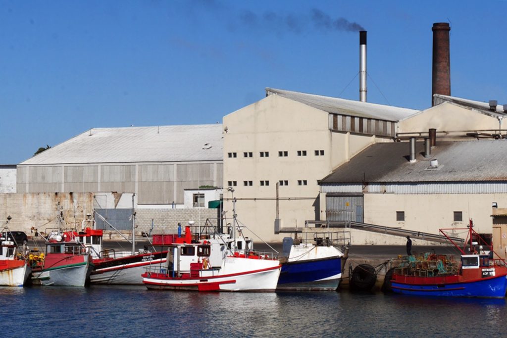 Kartoffelfabrik und Fischerboote im Hafen von Lamberts Bay