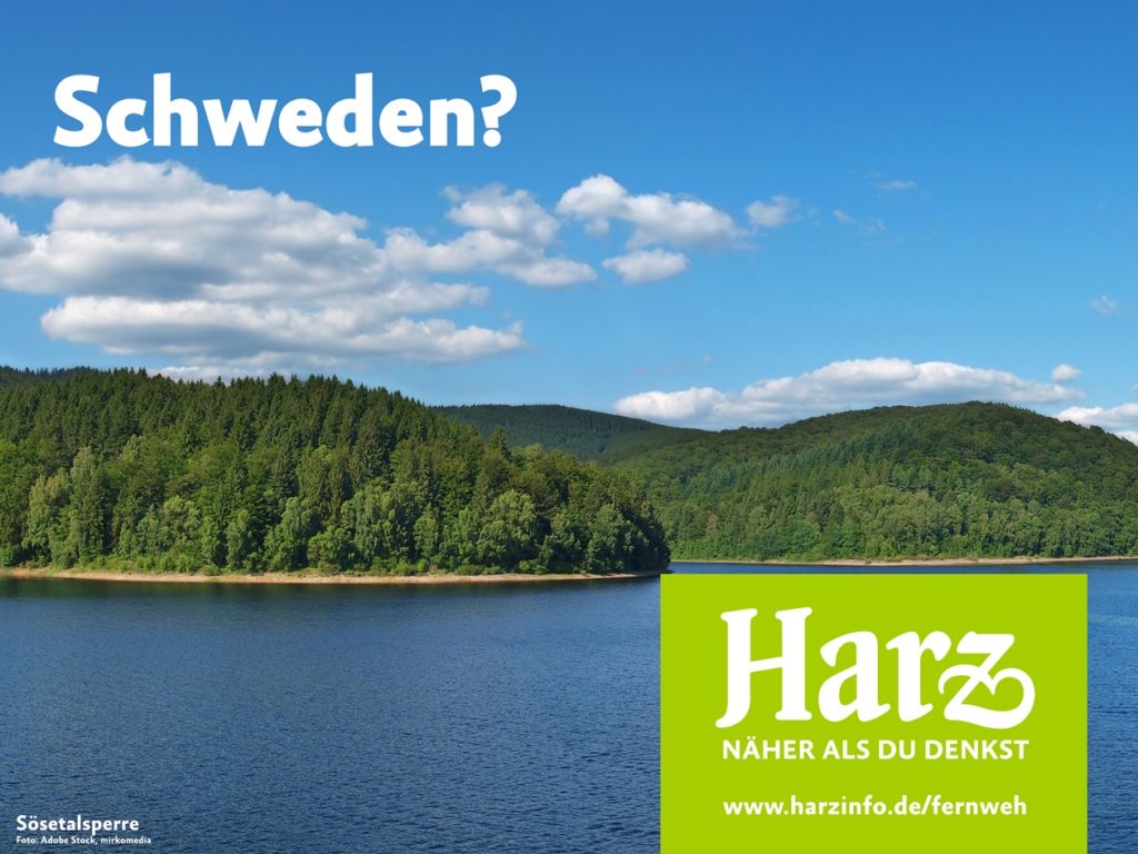 Die Fichtenwälder und Seen wecken das Fernweh Harz
