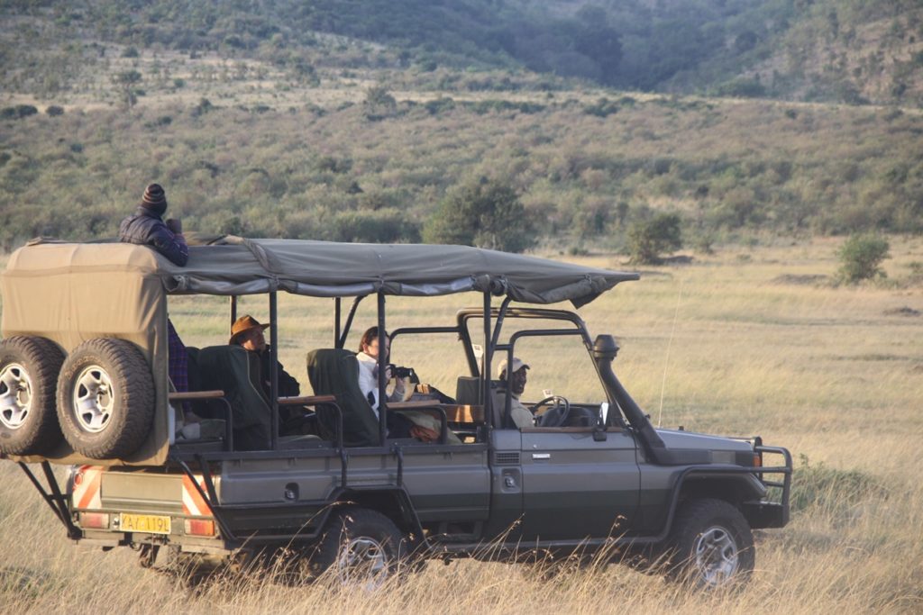 Geführte Safari in der Masai Mara in Kenia
