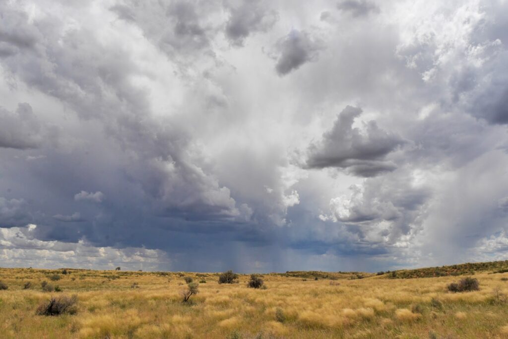 Gewitterwolken erstrecken sich über den grasbewachsenen Dünen der Kalahari in Südafrika.