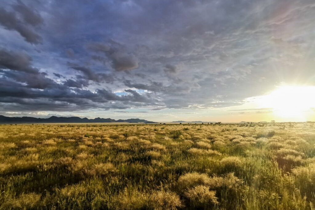 Blick über die weite Grassavanne im Namib Naukluft Gebiet.