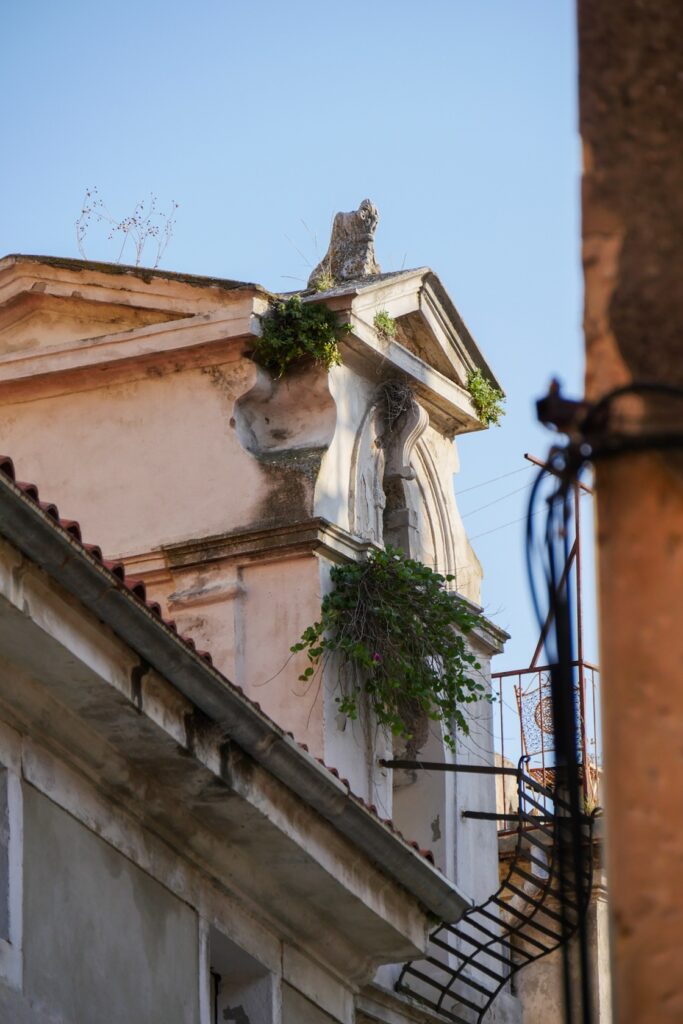 Fassade eines alten Gebäudes in Piran, welches bereits in Teilen mit Pflanzen bewachsen ist.