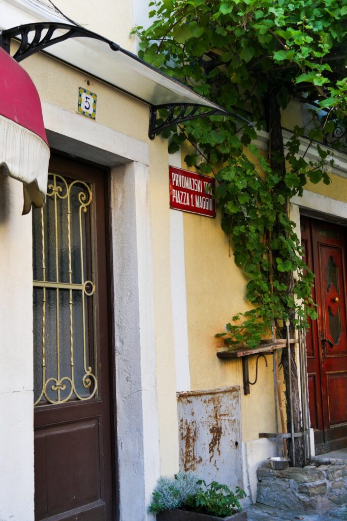 Zwei Hauseingänge in Piran. Dazwischen wächst Wein und es hängt ein Schild mit dem Straßennamen.