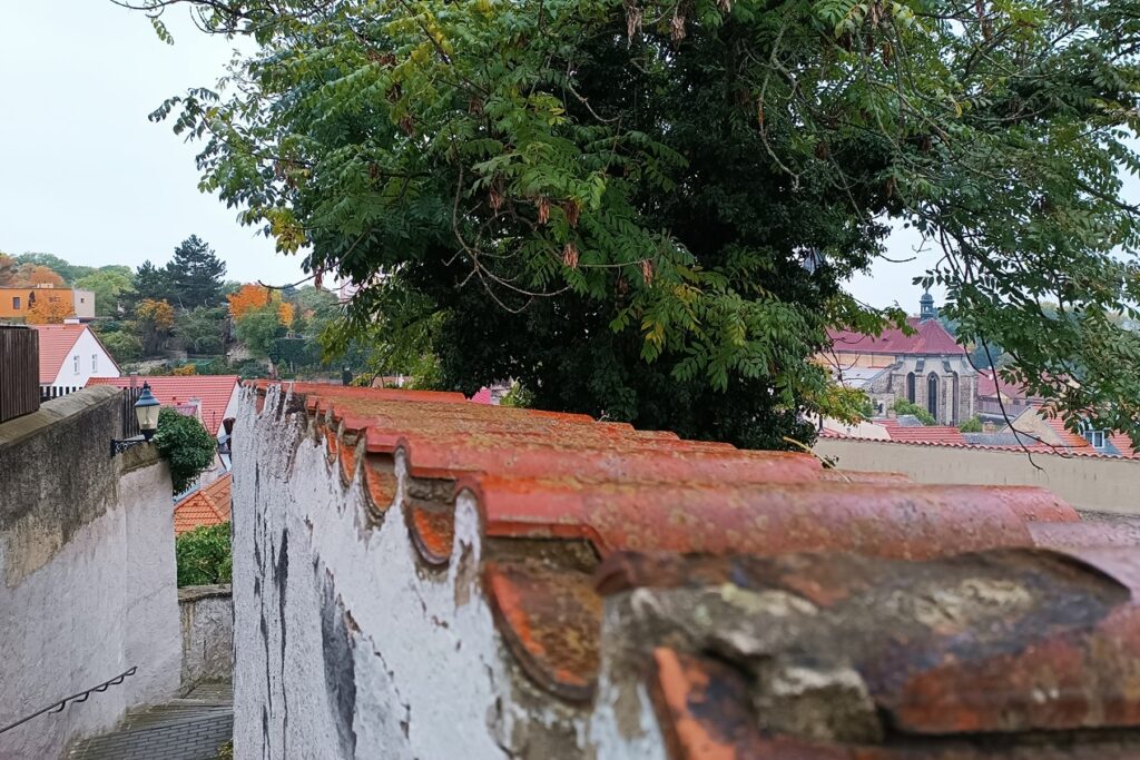 Im Vordergrund sind unscharfe Dachziegel zu sehen, mit der eine Mauer gedeckt ist. Darüber fällt ein Baum und im Hintergrund sieht man rote Dächer von Häusern und eine Kirche.