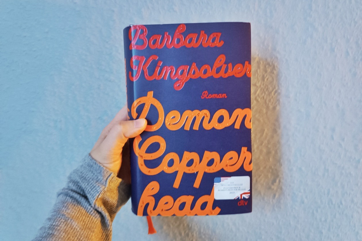Eine Hand hält den Roman "Demon Copperhad" von Barbara Kingsolver gegen eine hellblaue Wand.