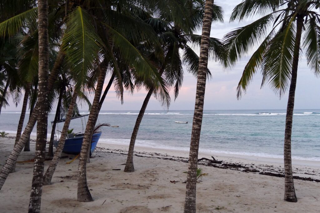 Dämmerung am palmengesäumten Strand des Tiwi Beach in Kenia.