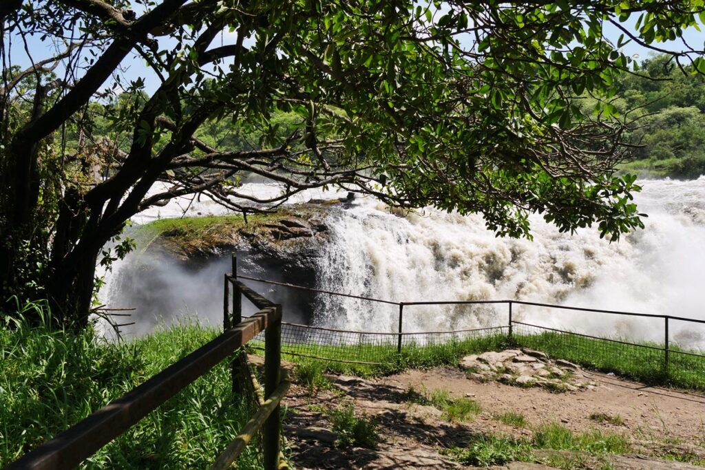 Aussichtsplattform Top of the Falls im Murchison Falls Nationalpark. Man sieht eine der Kaskaden, wo der Nil in die Tiefe stürzt, einen Baum und ein Geländer.