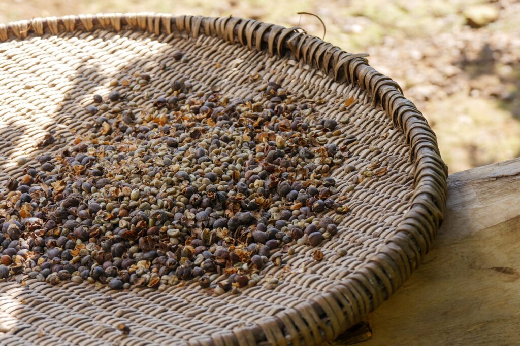 Geflochtenes rundes Tablett mit getrockneten Kaffeebohnen, auf einem Holzgestell im Freien