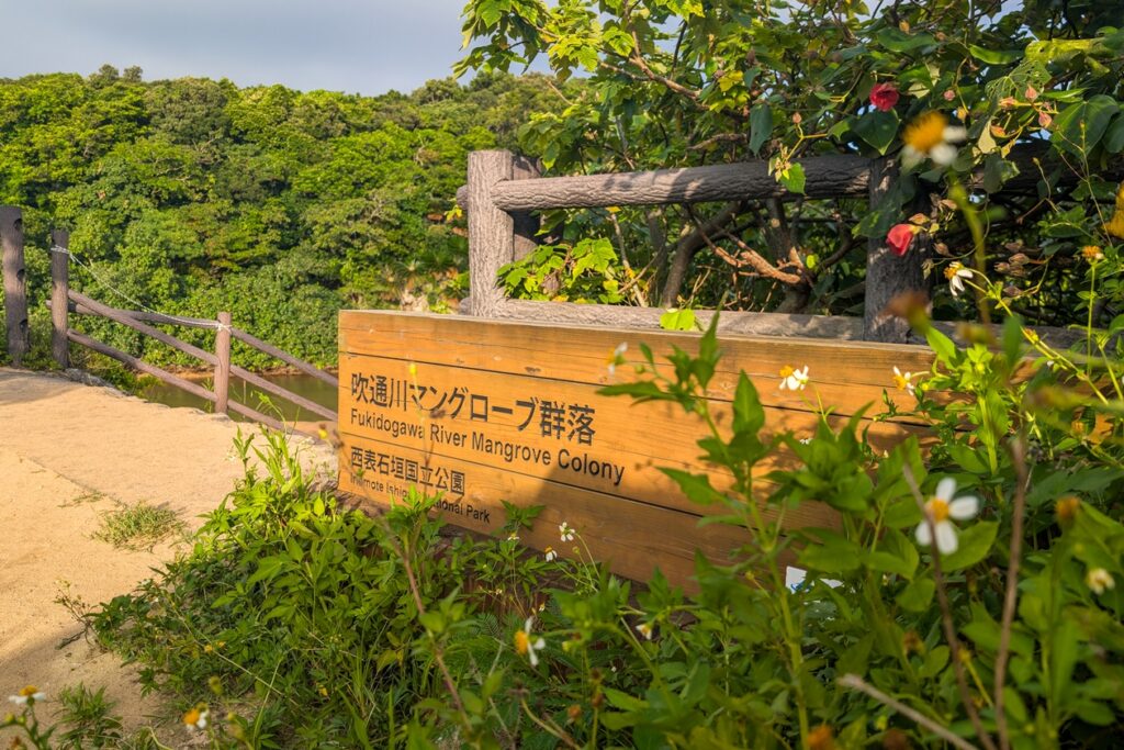 Holzschild, welches den Eingang zur Fukidogawa River Mangrove Colony markiert. Im Hintergrund sieht man den Fluss und einige Mangroven und im Vordergrund Blüten von Pflanzen.