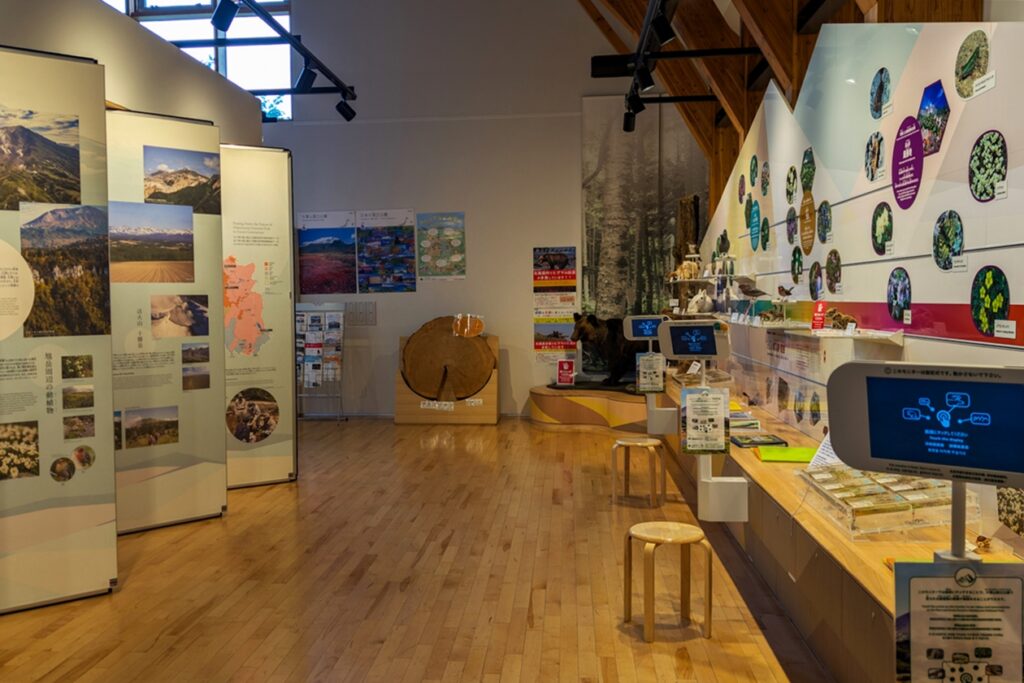 Blick in das Visitor Center in Asahidake Onsen. Es sind mehrere Infotafeln zu sehen, sowie ein Querschnitt eines Baumes und ein ausgestopfter Braunbär.
