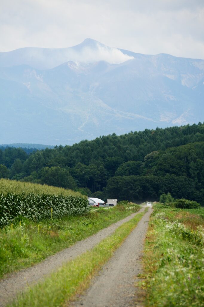 Ein Feldweg führt an Mais und Blumen vorbei. In der Ferne erhebt sich der Gipfel des Mt. Asahidake mit seinen dampfenden Fumarolen.