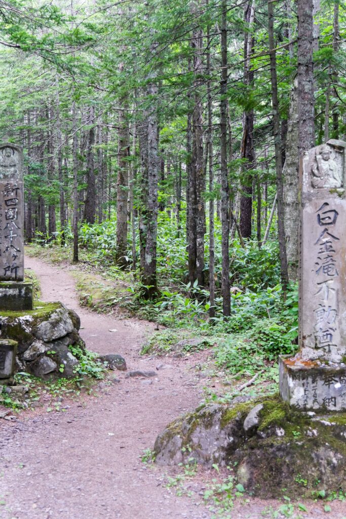 Kleiner Pfad, welcher durch einen Wald führt. Links und rechts sind Markierungen aus Stein mit japanischen Schriftzeichen und Buddha Figuren.