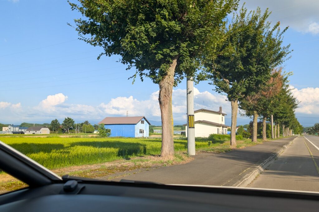 Blick aus dem Autofenster auf ein Reisfeld, vereinzelte Häuser und einer von Bäumen gesäumter Straße.