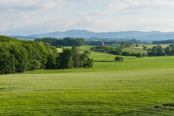 Weite grüne Felder mit Wäldern und Bergen im Hintergrund zeigen die idyllische Landschaft von Hokkaido im Sommer.