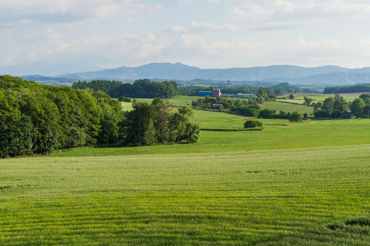 Weite grüne Felder mit Wäldern und Bergen im Hintergrund zeigen die idyllische Landschaft von Hokkaido im Sommer.
