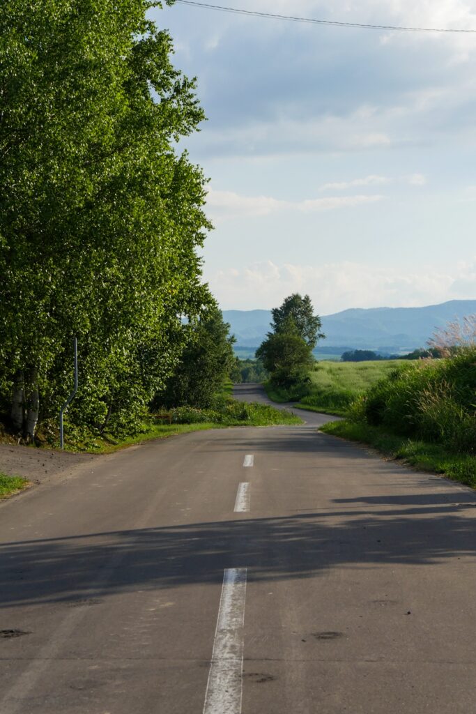 Asphaltierte und von Bäumen gesäumte Straße im ländlichen Hokkaido bei Biei.