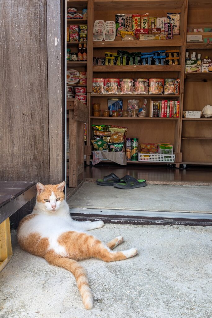 Eine rot getigerte Katze liegt ganz entspannt vor dem Eingang eines kleinen Lebensmittelgeschäfts auf Ishigaki.