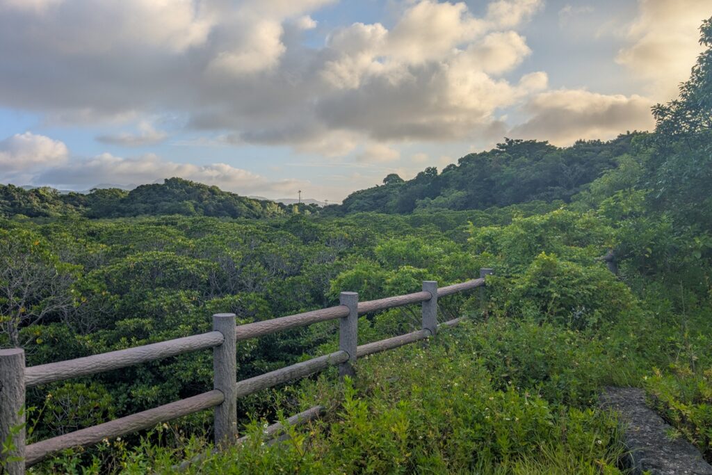 Blick über das dicht bewaldete Landesinnere von Ishigaki.