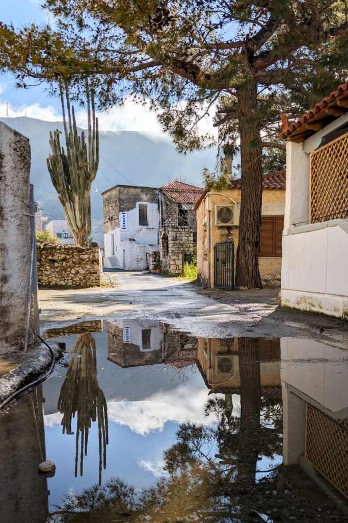 Gasse in Areopoli mit Häusern, großem Kaktus und Baum, deren Spiegelung sich in einer Pfütze auf dem Kopfsteinpflaster zeigt