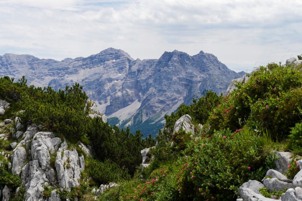 Blick in die Berge des Pillerseetals.