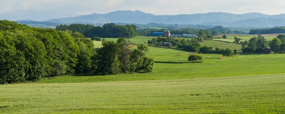 Weite grüne Felder mit Wäldern und Bergen im Hintergrund zeigen die idyllische Landschaft von Hokkaido im Sommer.
