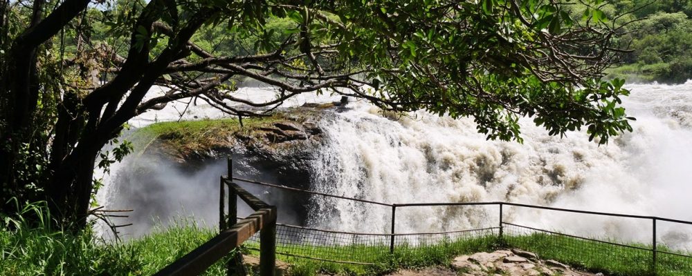 murchison-falls-nationalpark-aussichtsplattform
