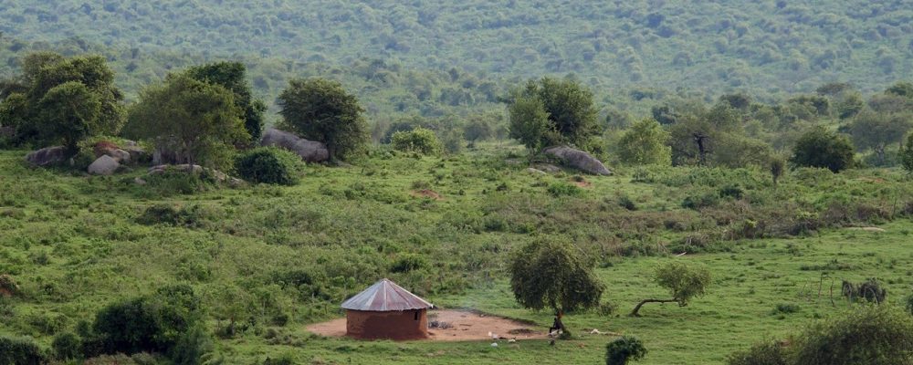 Weiter Blick über grüne Hügel am Rande des Lake Mburo Nationalparks in Uganda. In der Ferne ist eine kleine Hütte zu sehen.